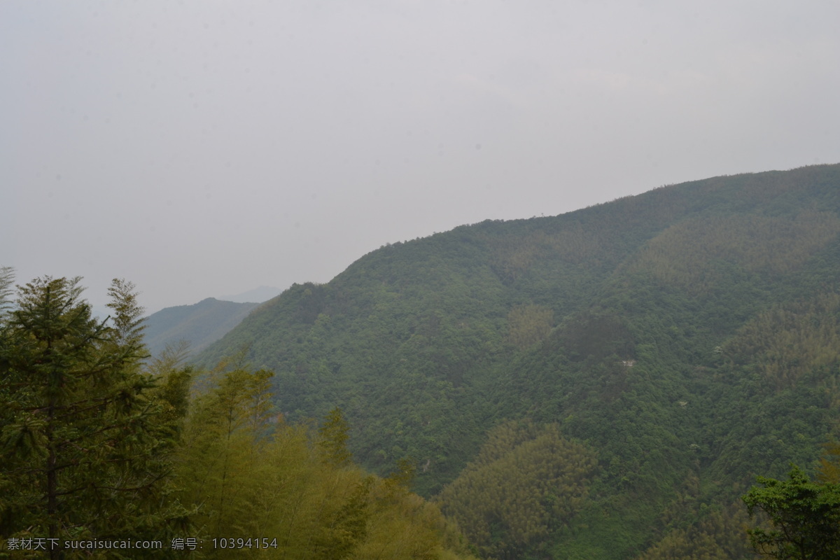 宁波 四明山 横街 朱敏村 红色堡垒 虹岭 古道 红色 根据地 三五支队 翠竹 绿叶 竹林 翁岩 曲径 自然景观 自然风景 惠民红色古道 旅游摄影 国内旅游