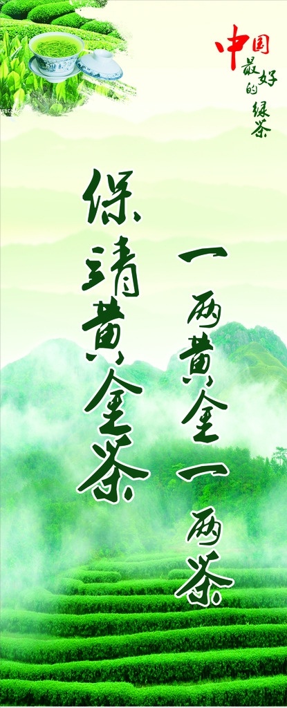 茶展板 茶 展板 写真 山茶 黄金茶 绿色 背景 绿色背景 保靖黄金茶 绿叶 中国风 淡雅 绿山