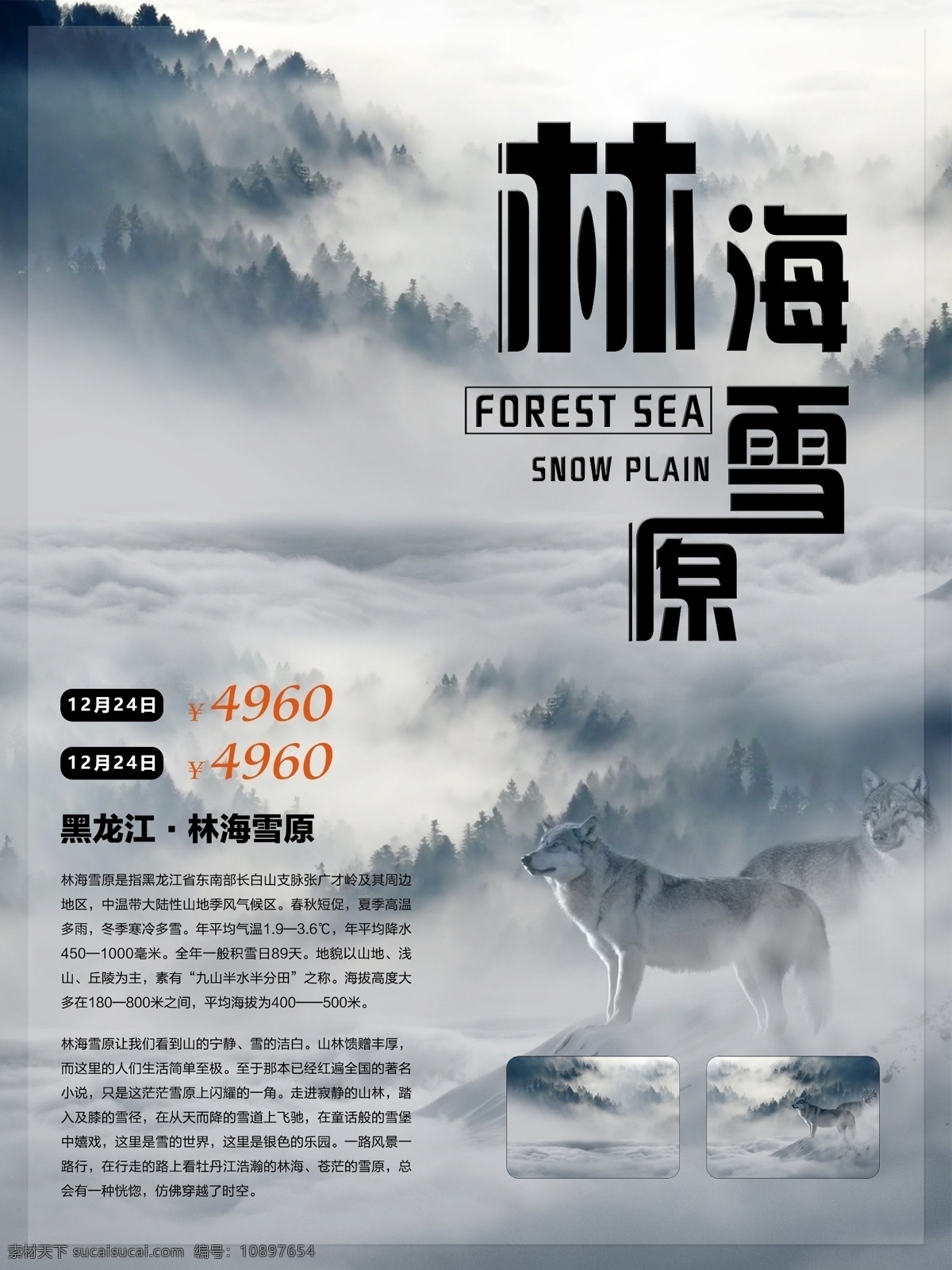 林海雪原 雪乡 哈尔滨 冰雪游 冰雪度假 滑雪海报 滑雪旅游海报 冰雪旅游海报 冬季旅游 冬季冰雪游 冬季旅游海报 滑雪 雪乡之旅 哈尔滨冰雪节 冰雪节 滑雪场海报 滑雪场 亚布力 亚布力滑雪场 东北旅游 旅游海报 哈尔滨旅游 冰雕 雪雕