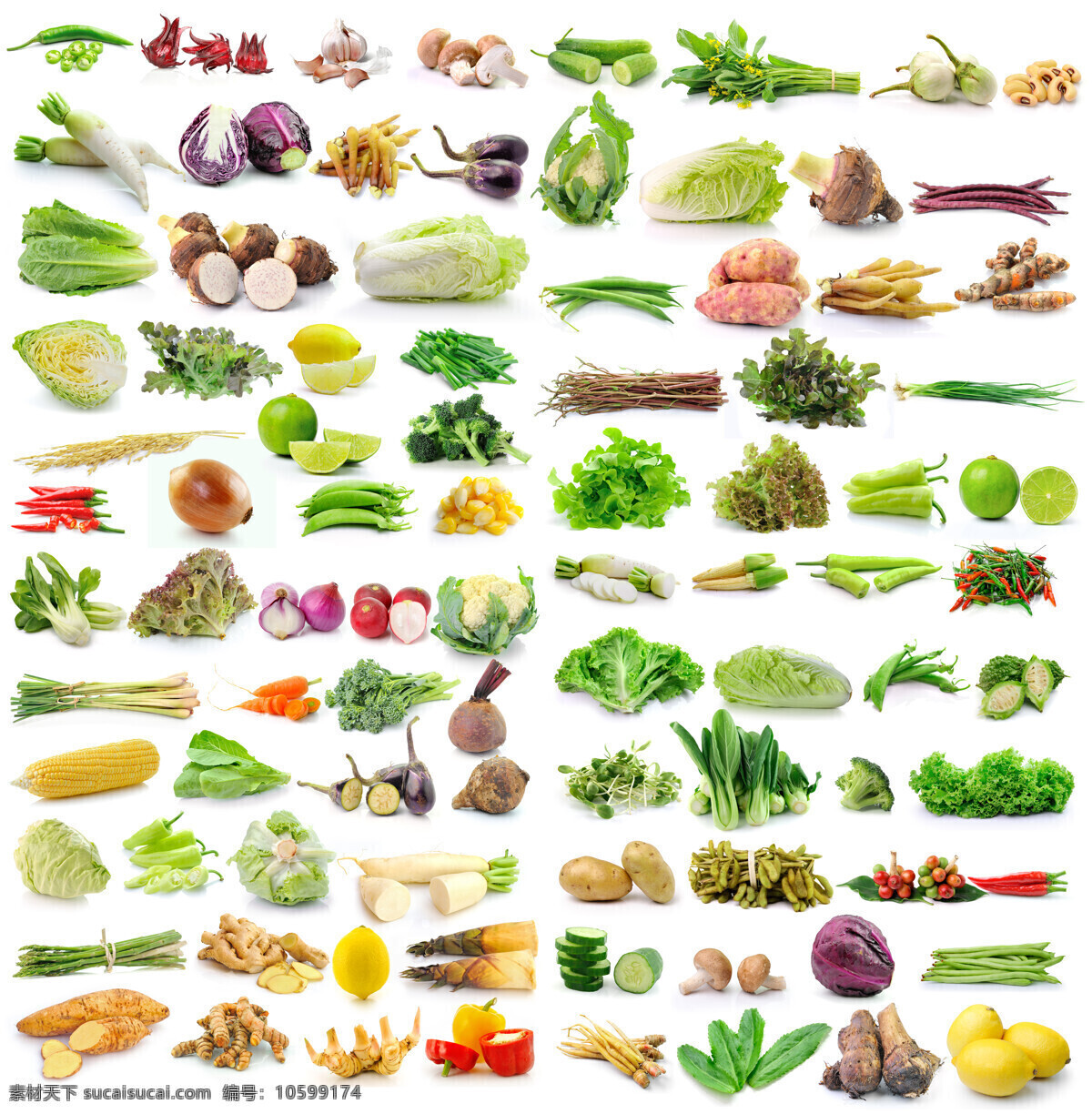 蔬菜水果集合 蔬菜水果 水果 蔬菜 新鲜蔬菜 有机蔬菜 辣椒 西红柿 青瓜 胡萝卜香蕉 芹菜 芦笋 生物世界
