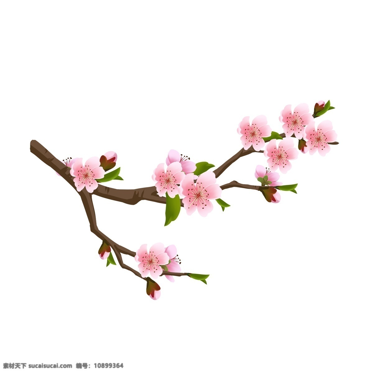 粉色 桃花 花朵 花枝 花卉 手绘 春季 装饰 简约 风 春季装饰