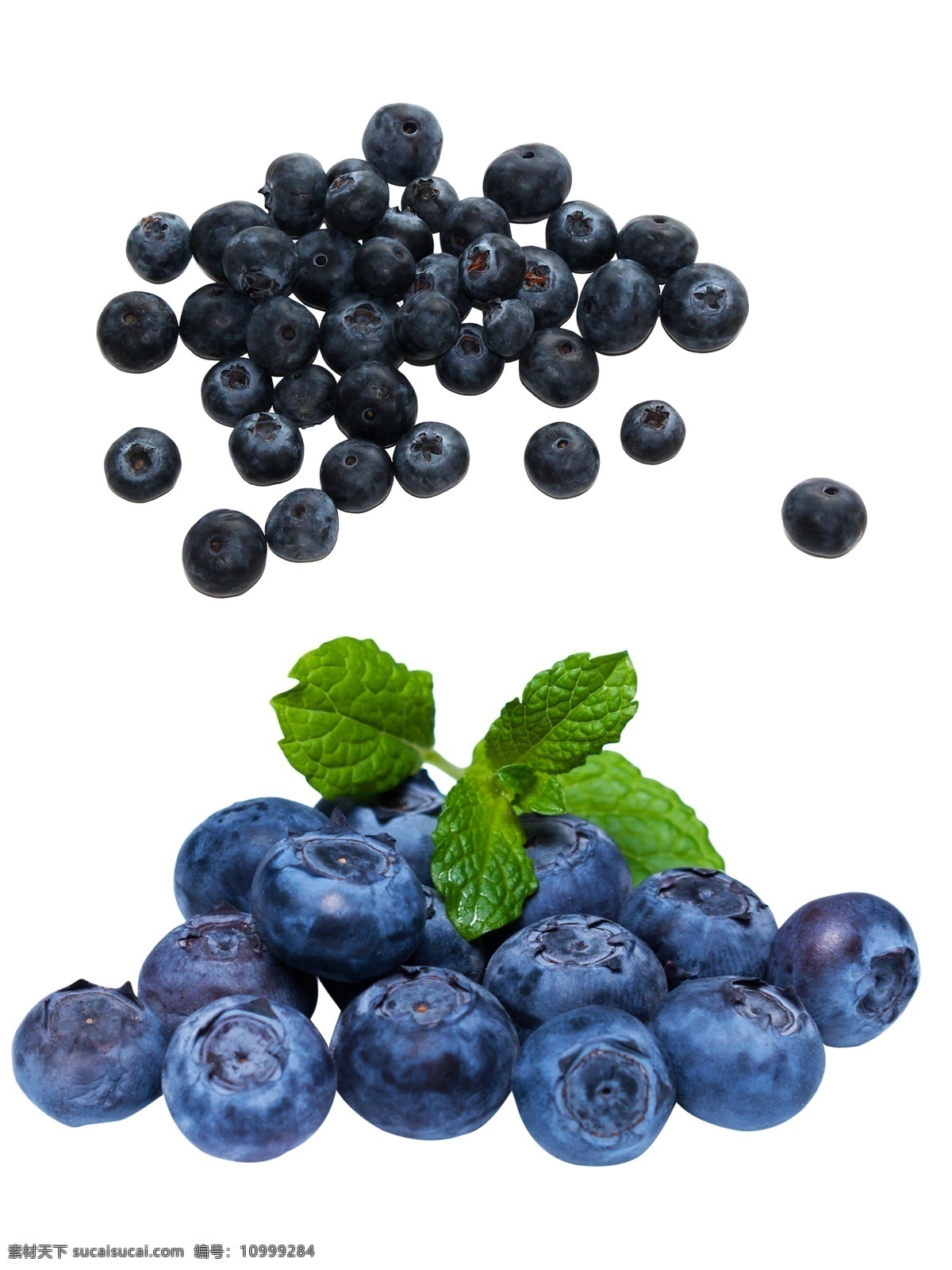 蓝莓 水果素材图片 水果素材 高丛蓝莓 透明水果素材 分层