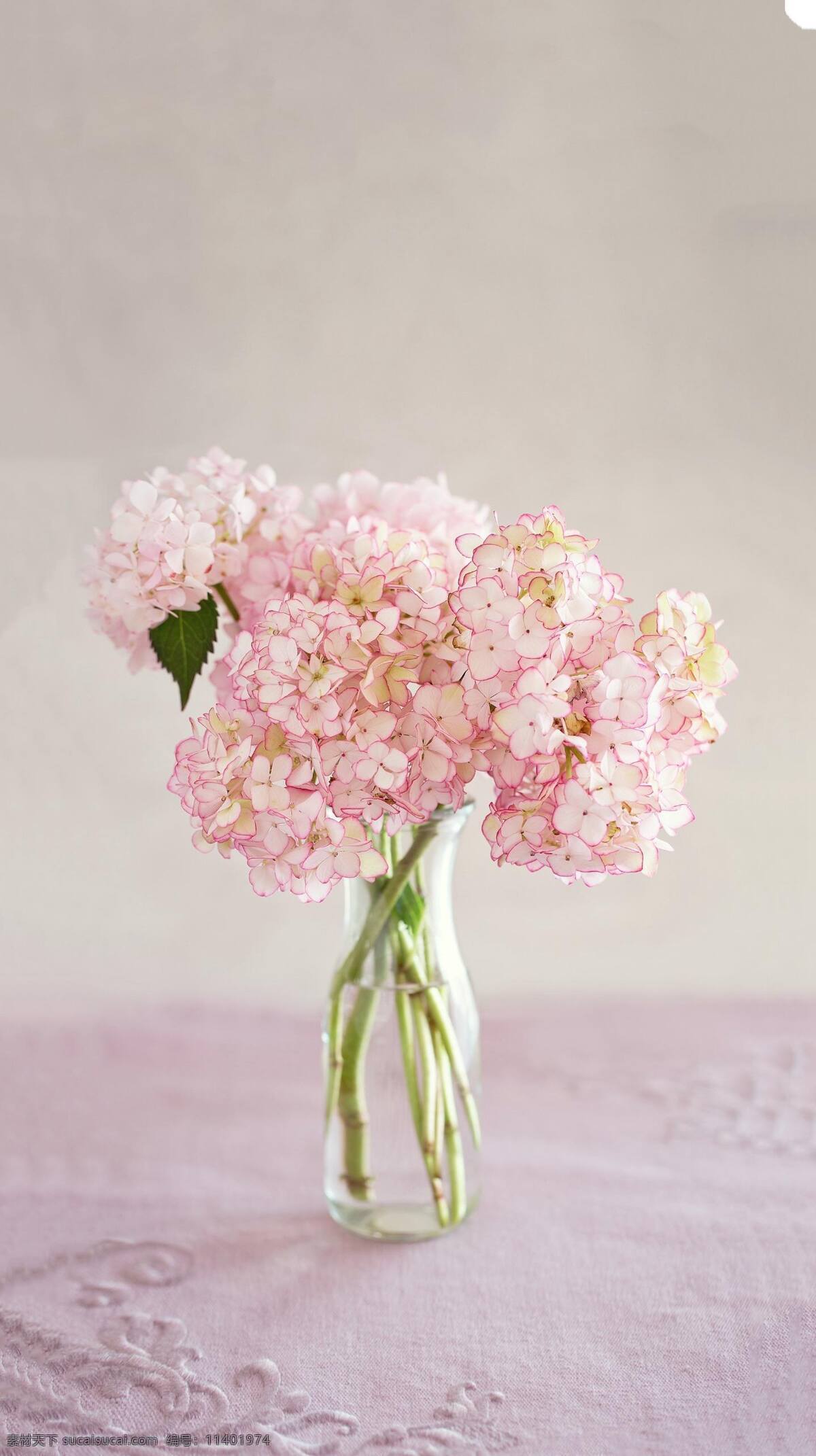 花朵插花图片 花朵 插花 写真 花瓶 粉色花朵