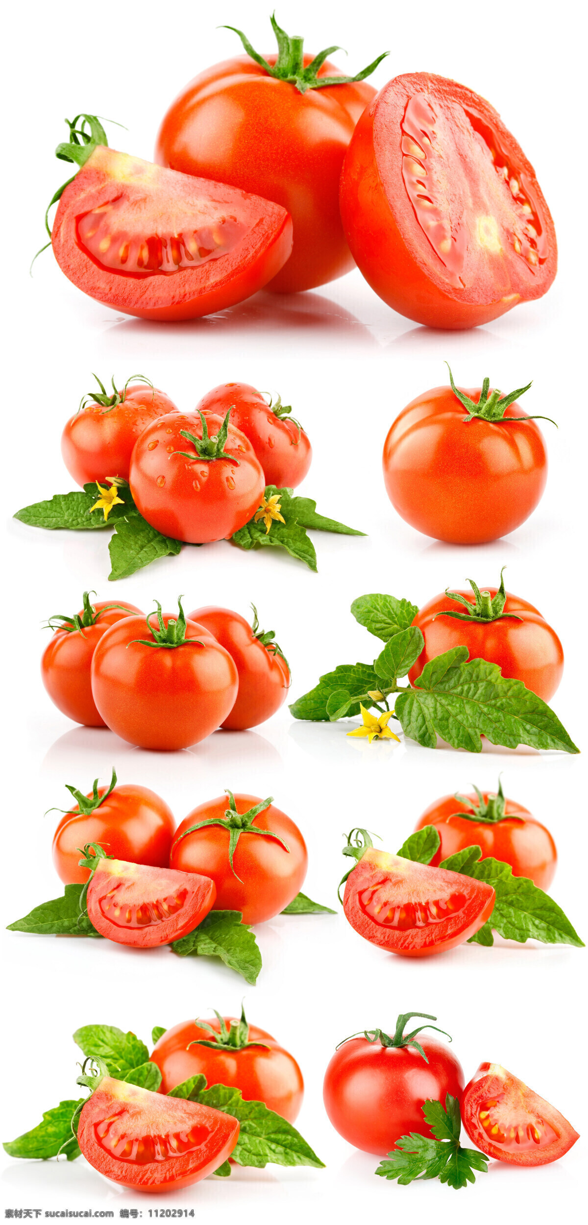 西红柿 番茄 果蔬 水果 新鲜水果 小西红柿 小番茄 大西红柿 红西红柿 新鲜西红柿 蔬菜 切开的西红柿 餐饮美食 食物原料