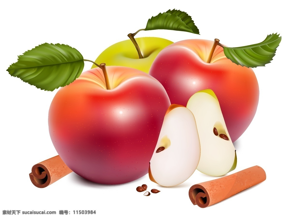 红苹果 apple 苹果 大苹果 带叶子的苹果 苹果核 切开的苹果 矢量图 其他矢量图