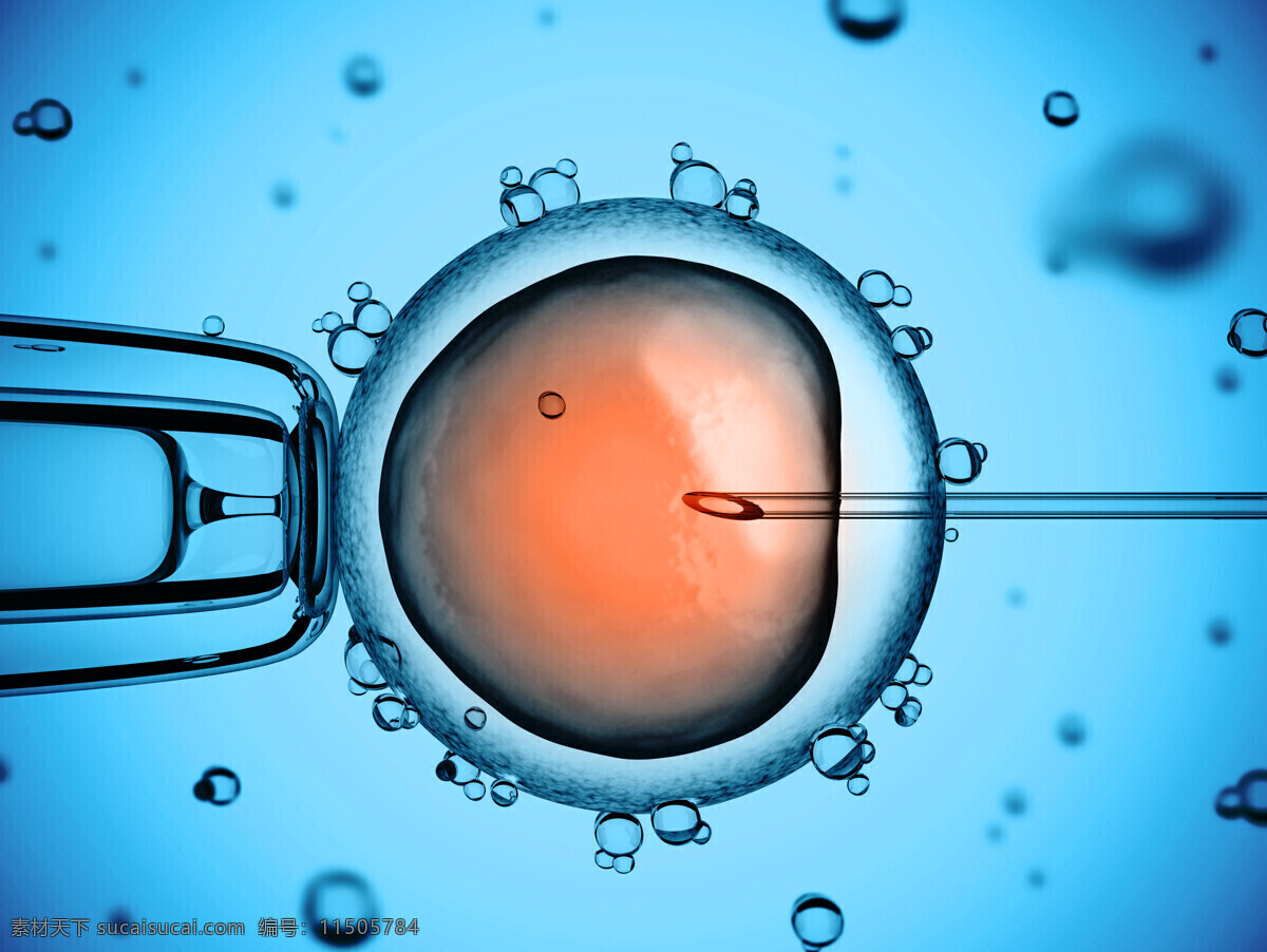 试管婴儿 注射 受精过程 精子 卵细胞 受精卵 游动 生命 生物 科学 科学研究 形象 现代科技