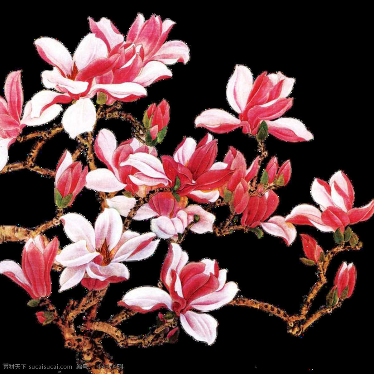 古典 中国 风 手绘 花朵 装饰 元素 古典元素 红色 花瓣 花枝 免扣 中国风 装饰元素