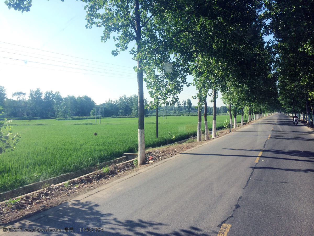 乡村风景 稻田 绿树 乡村夏日风景 公路 新农村 新风貌 自然景观 自然风景