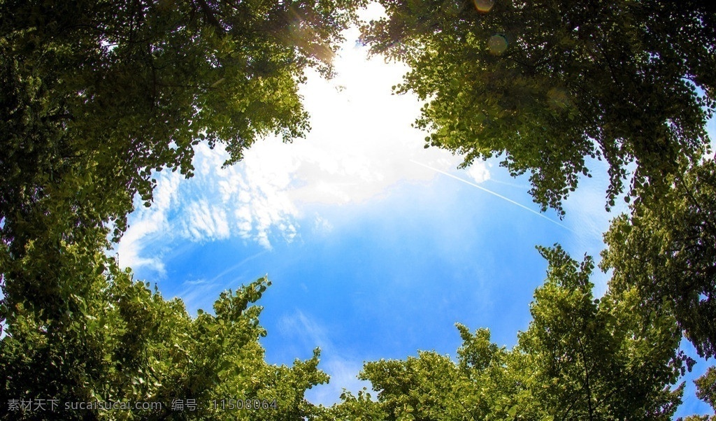 蓝天白云 蓝天 白云 风光 自然 树 绿树 隔窗取景 风景美图 自然风景 自然景观