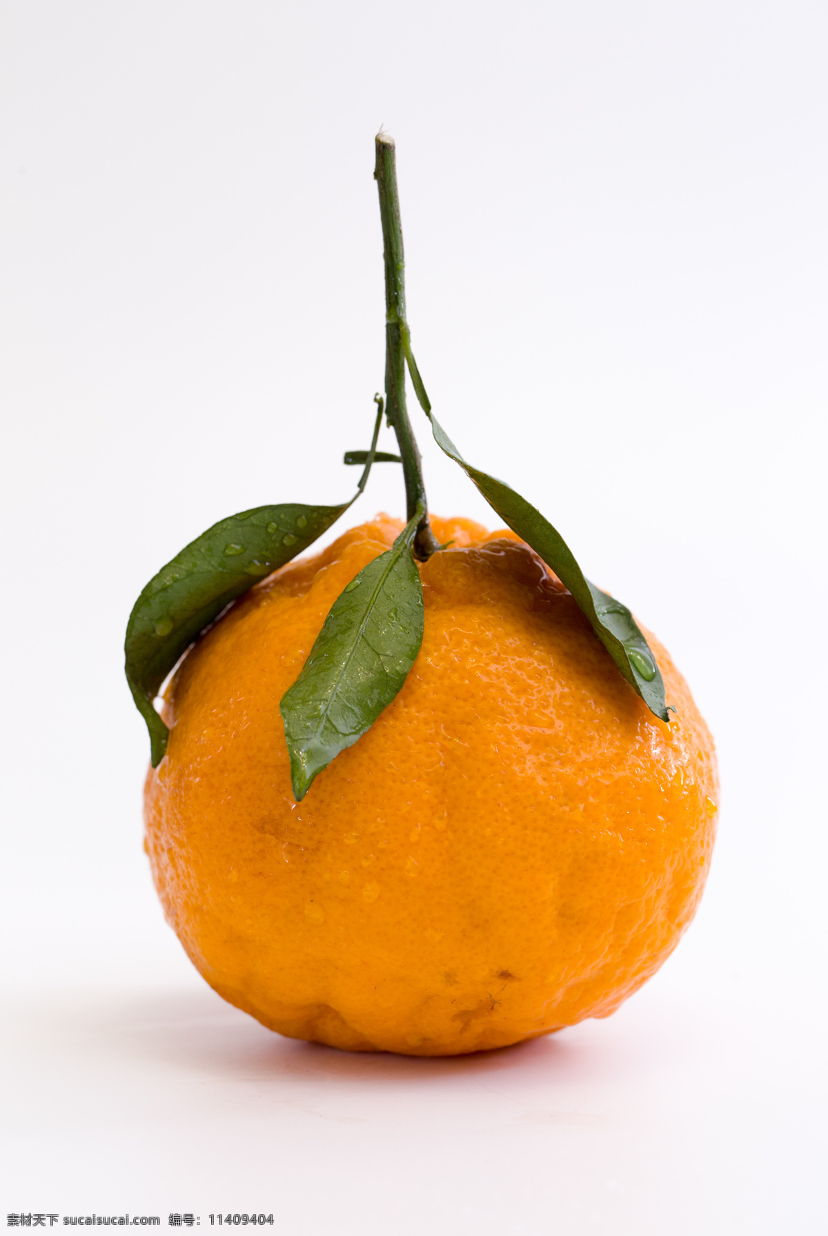 丑 橘 水果 新鲜 背景 海报 素材图片 丑橘 食物 中药 类 餐饮美食