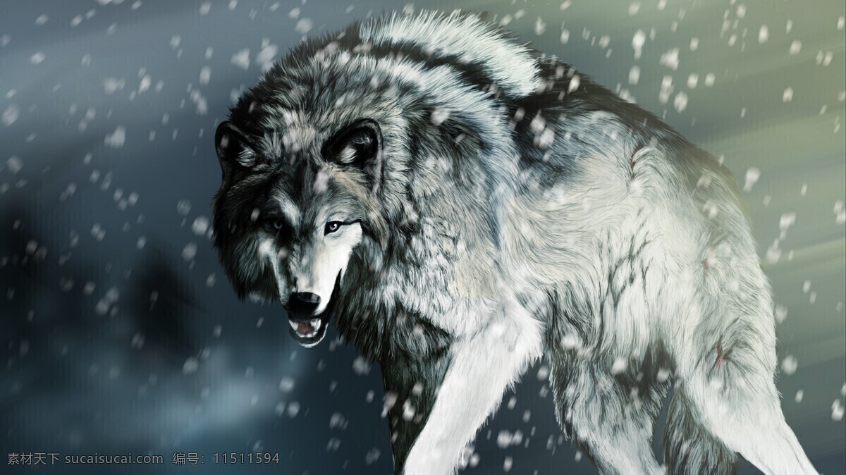 狼图腾 草原狼 野狼 狼 狼群 狼嚎 野生动物 生物世界