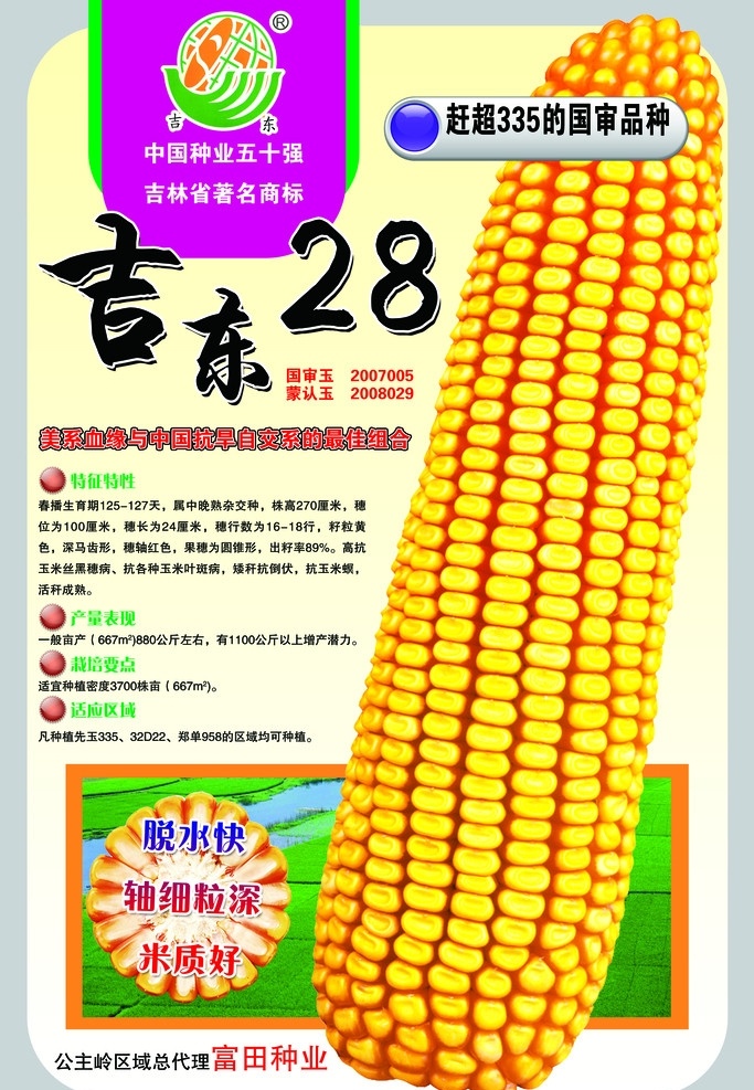 吉东28 玉米品种 宣传 报纸 海报 背景色 标识 大画 介绍 生育期 广告设计模板 源文件