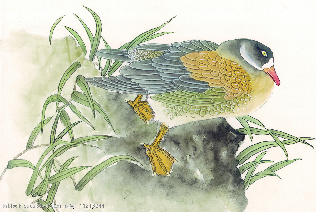 中华 艺术 绘画 古画 动物 孔雀 天鹅 鸳鸯 凤凰 中国 古代 传统绘画艺术 美术绘画 名画欣赏 水彩画 水墨画 文化艺术