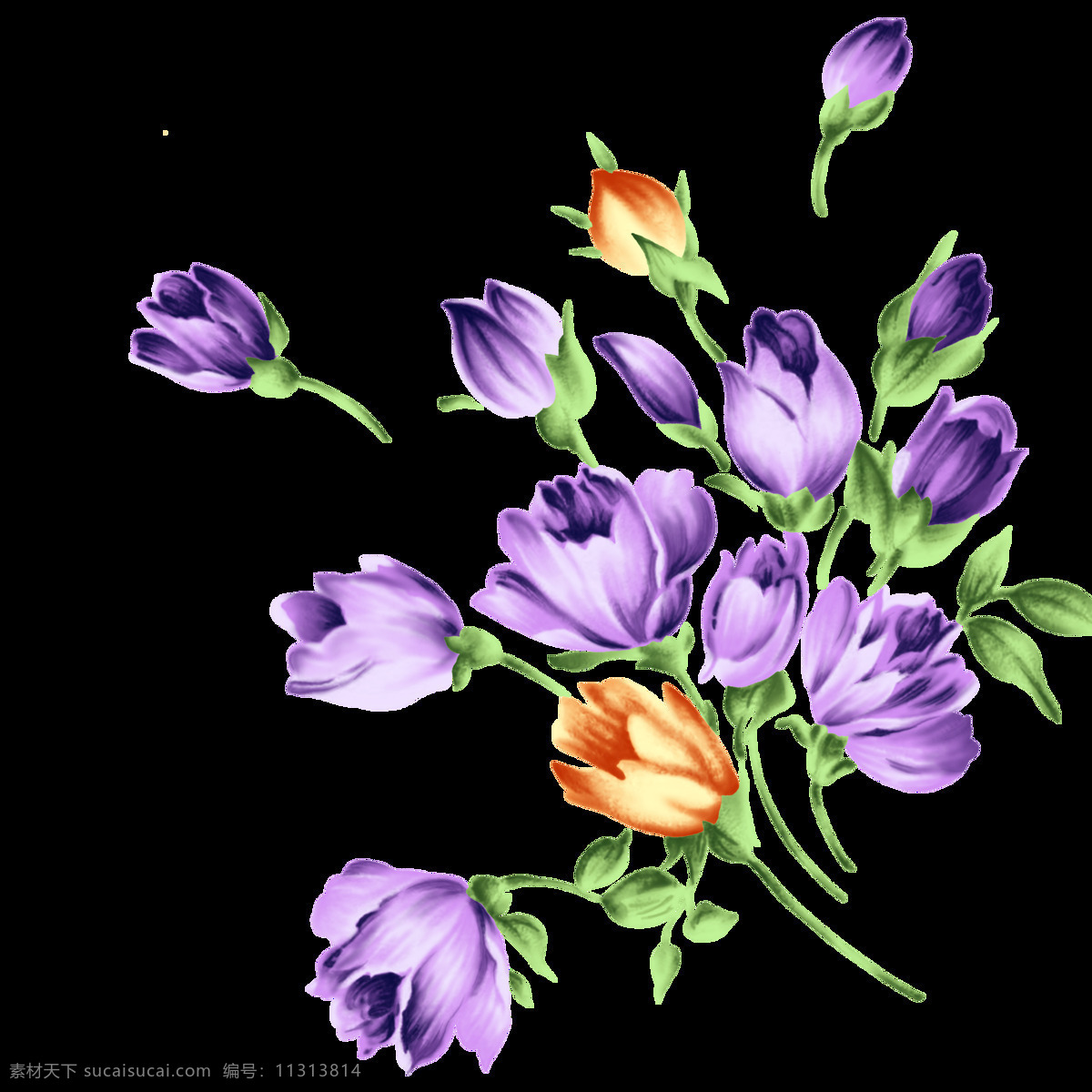 花束 唯美 高清 装饰 紫色 花草