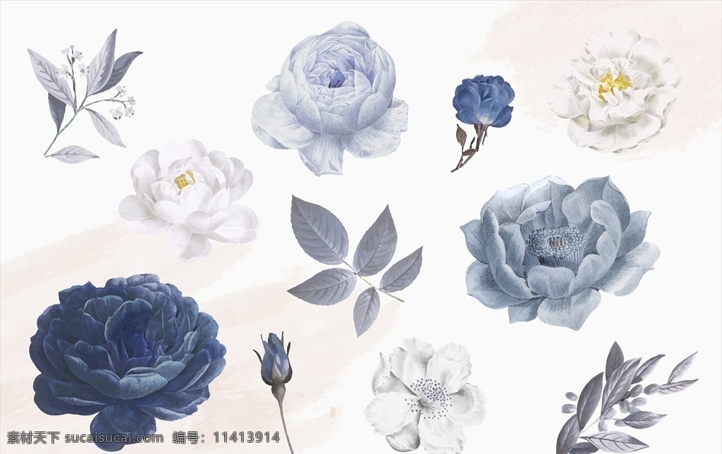 手绘 水彩 蓝 玫瑰 花卉 插画 蓝玫瑰 优雅 自然 淡雅 女性 花 花朵 开花 图案 印花 文化艺术 绘画书法