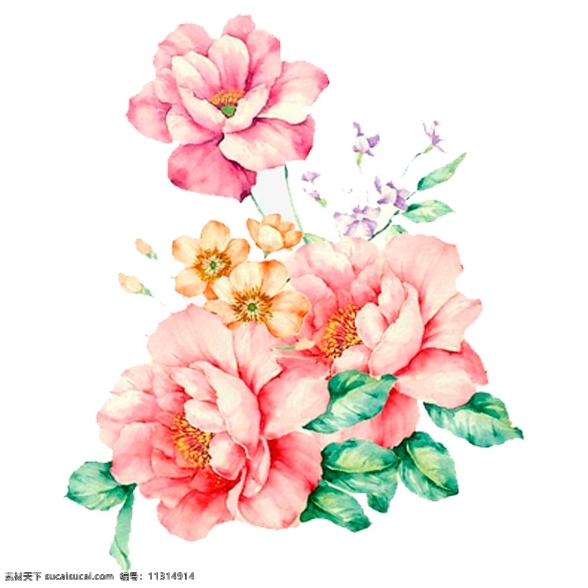 手绘 玫瑰 花卉 透明 卡通素材 花朵 叶子 透明素材 水彩 免 扣