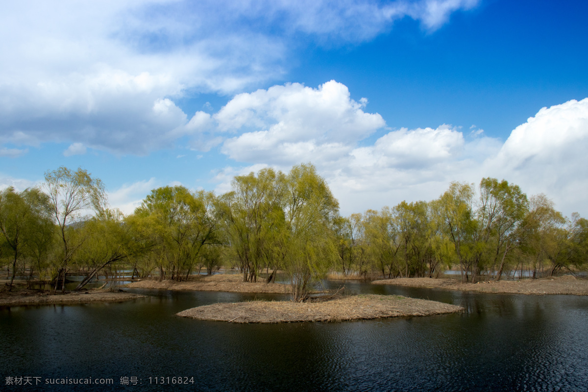 植物 公园 湖畔 风光 湖水 树木 小岛 蓝天 白云