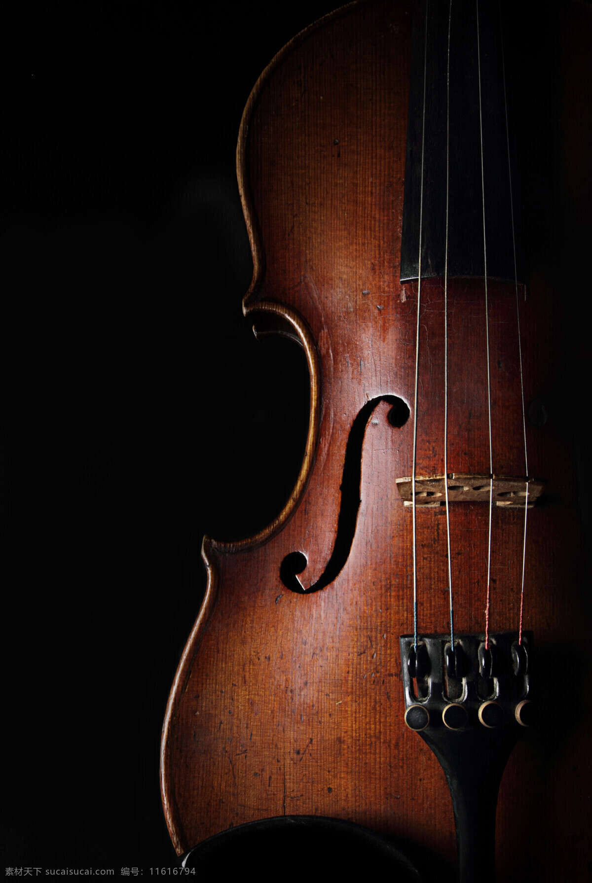 黑色 背景 下 小提琴 音乐器材 乐器 西洋乐器 影音娱乐 生活百科