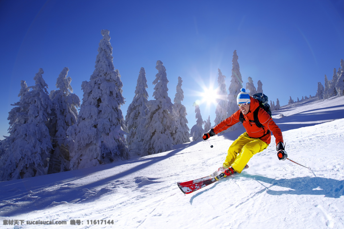 雪地 滑雪 人物 树木 阳光 雪山 山峰 滑雪运动员 滑雪运动 体育运动 滑雪图片 生活百科