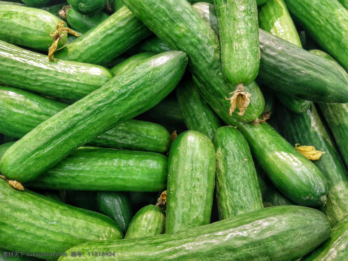 黄瓜 瓜 青瓜 素菜 绿色 新鲜 食材 农作物 生物世界 蔬菜