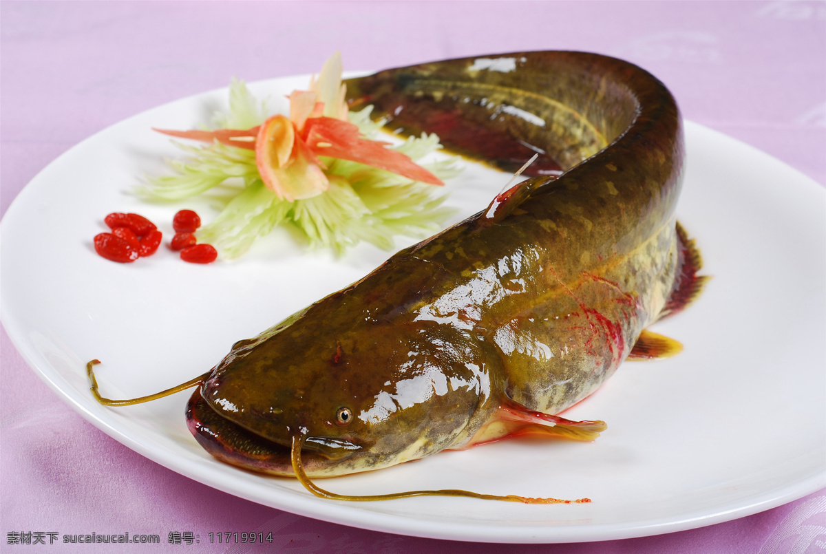 野生黄河鲶鱼 美食 传统美食 餐饮美食 高清菜谱用图