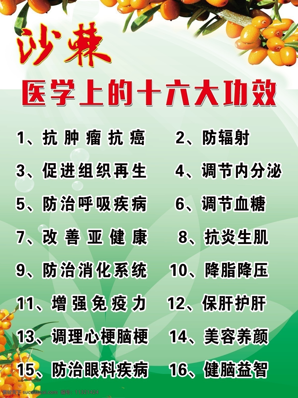 美容院展板 沙棘 用处 功效 展板 psd分层 分层