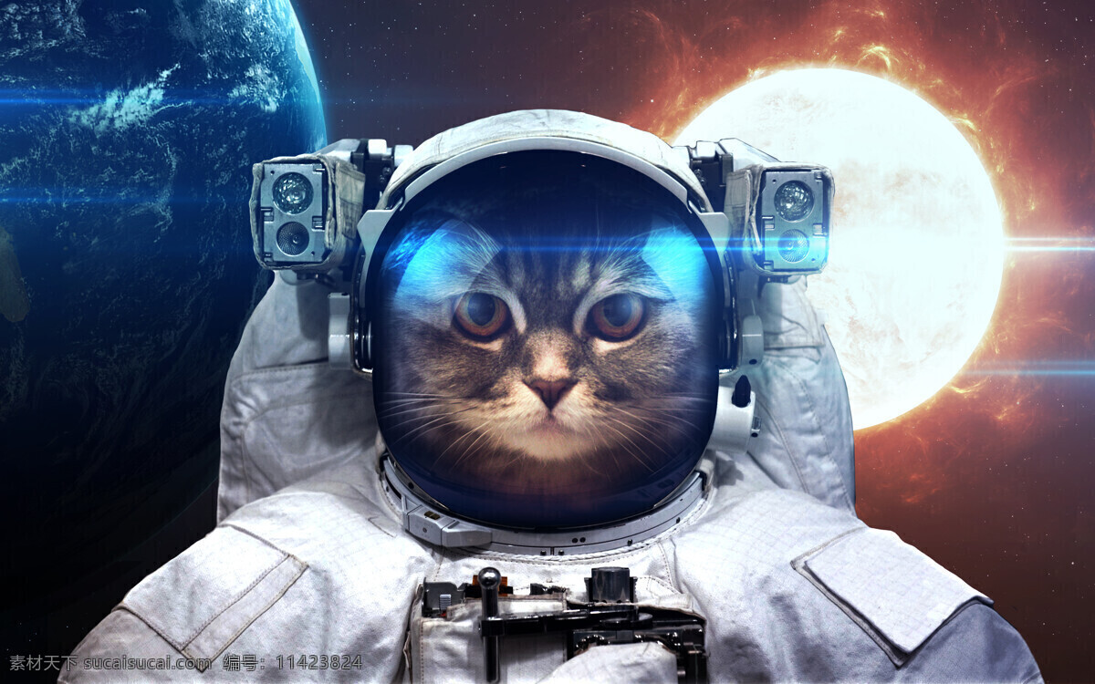 太空猫 太空 月球 宇航服 猫咪 宇航员 太阳 猫狗类 动漫动画 风景漫画