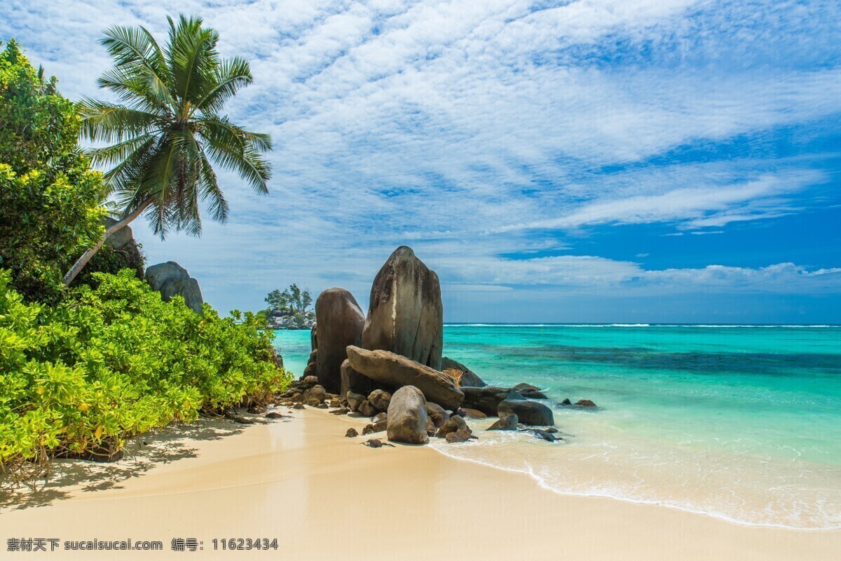 海滩 沙滩 海洋 海景 大海 清澈 椰子树 热带 海岛 森林 蓝天 白云 旅游 度假 马尔代夫 海边 海水浴场 岩石 自然景观 自然风景