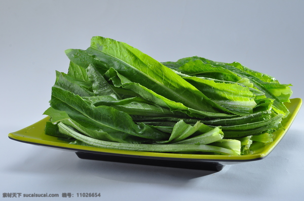 蔬菜 炒油麦菜 炝拌凤尾 鲜油麦菜 鲜椒油麦菜 香辣油麦菜 凉拌油麦菜 活捉油麦菜 炝炒油麦菜 中餐菜品 火锅菜 餐饮美食 传统美食