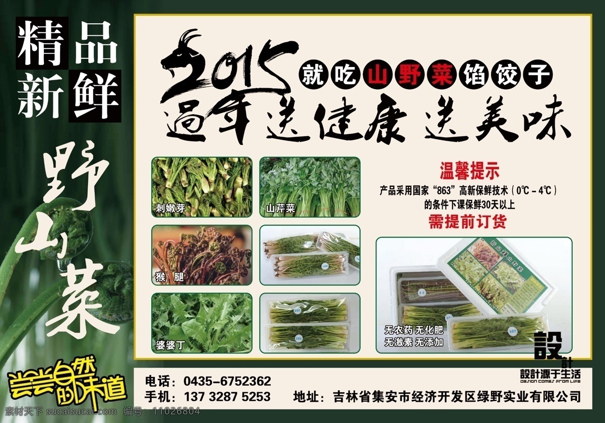 野菜 野菜广告 设计源于生活 陈振 山野菜