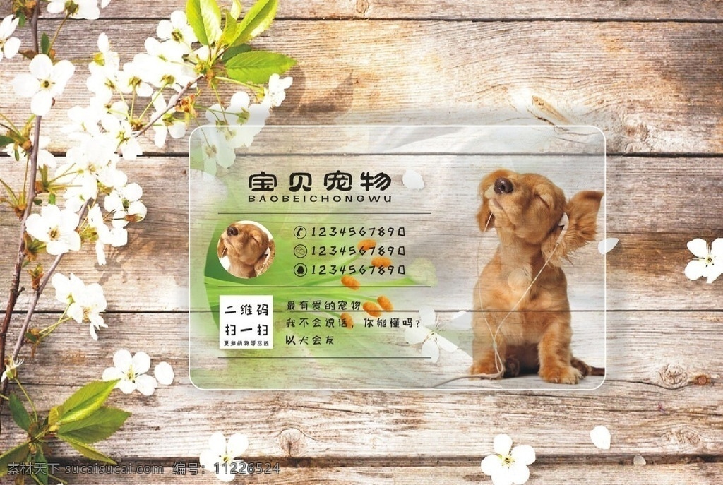宠物名片 宠物 萌宠 透明 名片 二维码 唯美 简约 有爱心的 可爱的 彩色的 优雅 名片卡片