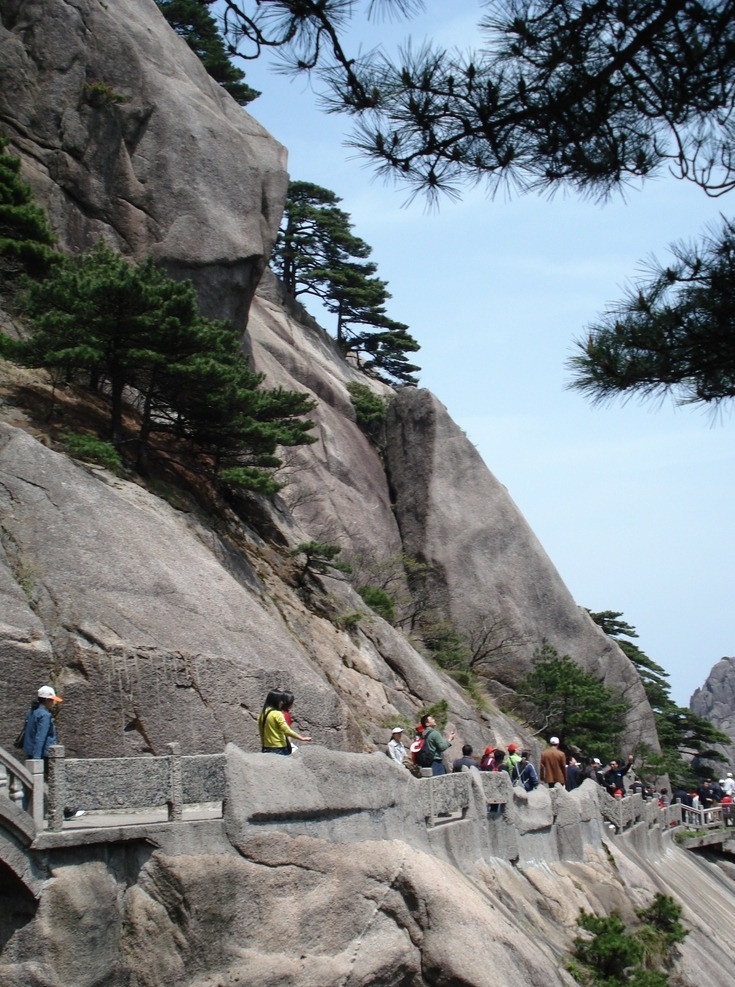 安徽黄山风景 安徽 黄山风景 松树 岩石 自然风景 旅游摄影