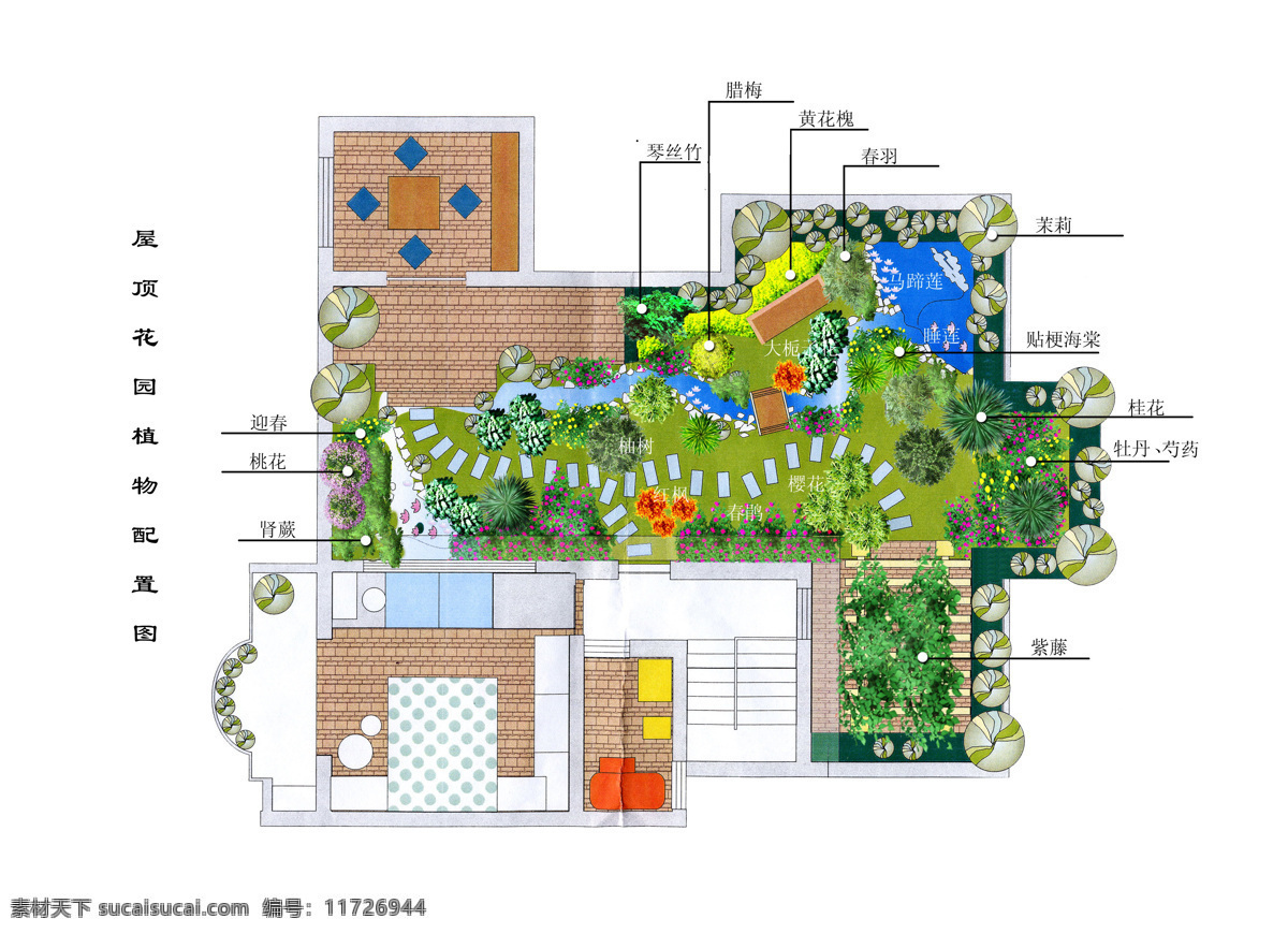 花园 花园布置 屋顶花园 植物布置 绿化布置 彩平 环境平面图 私家花园 植物配置 环境设计 园林设计