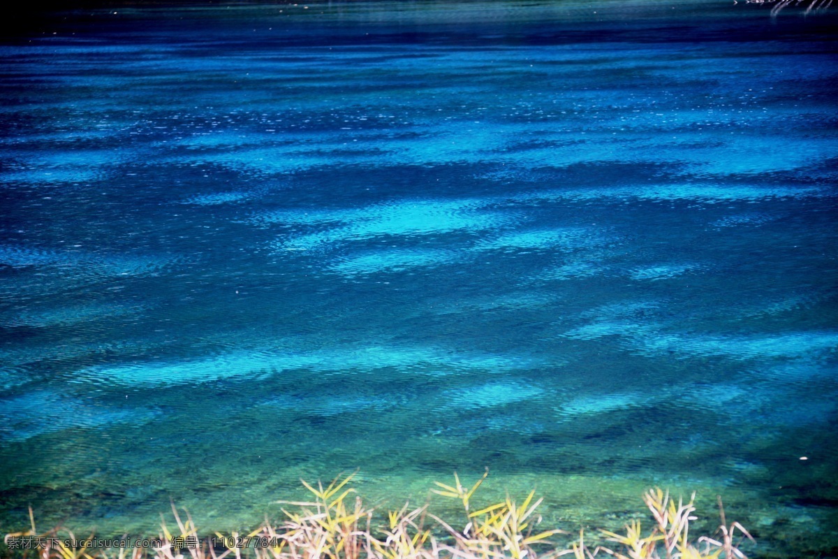 五花海 九寨沟 海子 九寨黄龙 湖水 湖畔 秋色 蓝色湖水 山水风景 自然景观