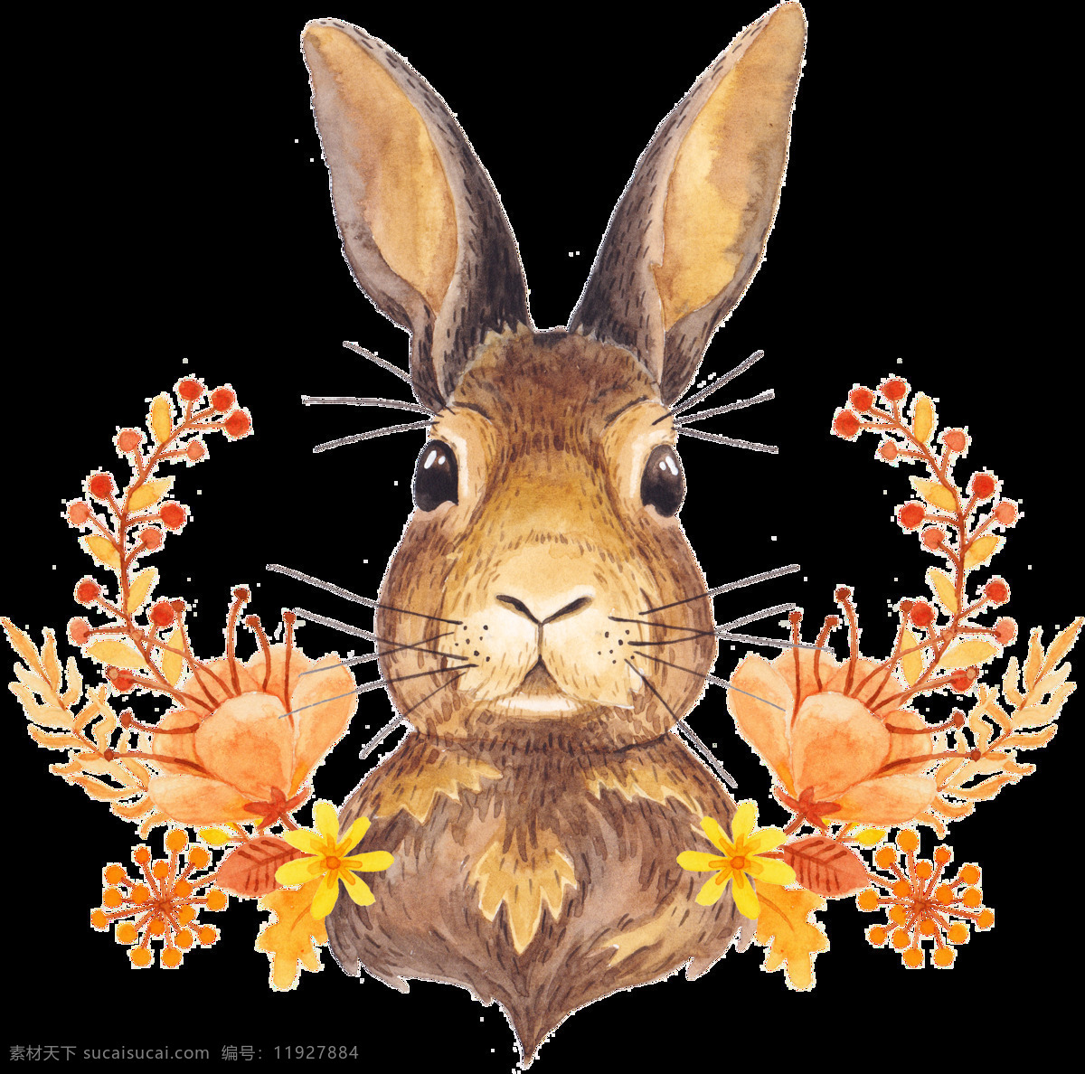 灰 兔 藏 花中 灰色 兔子 大耳朵 可爱 花卉 红色