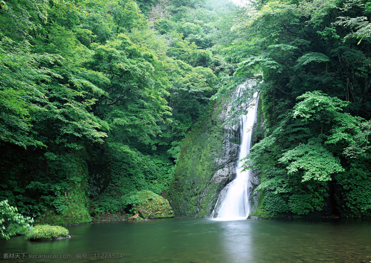 瀑布图片素材 自然 风景 瀑布 水花 水雾 溅出 湍急 急流 树林 瀑布图片 风景图片