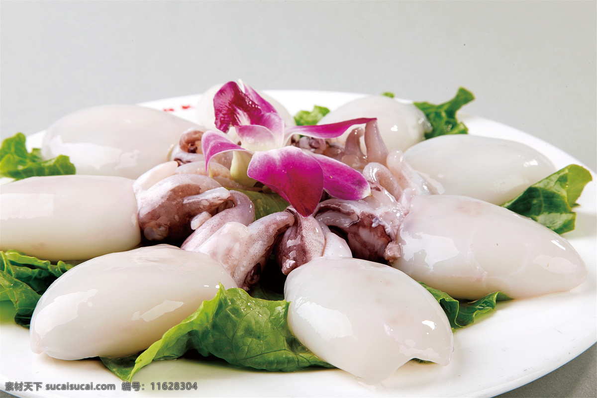 墨鱼仔 美食 传统美食 餐饮美食 高清菜谱用图