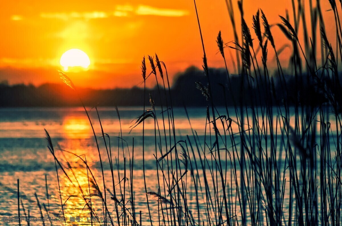 河 岸边 美丽 日落 落日 夕阳 黄昏 晨曦 日出 天际 摄影图片 鸟语花香 自然景观 田园风光
