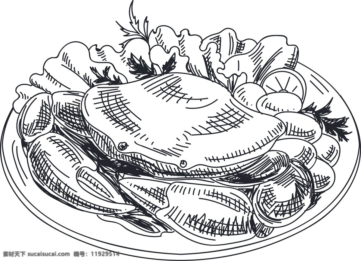 海蟹矢量素材 海蟹 矢量素材 螃蟹 矢量图 手绘素材 美食