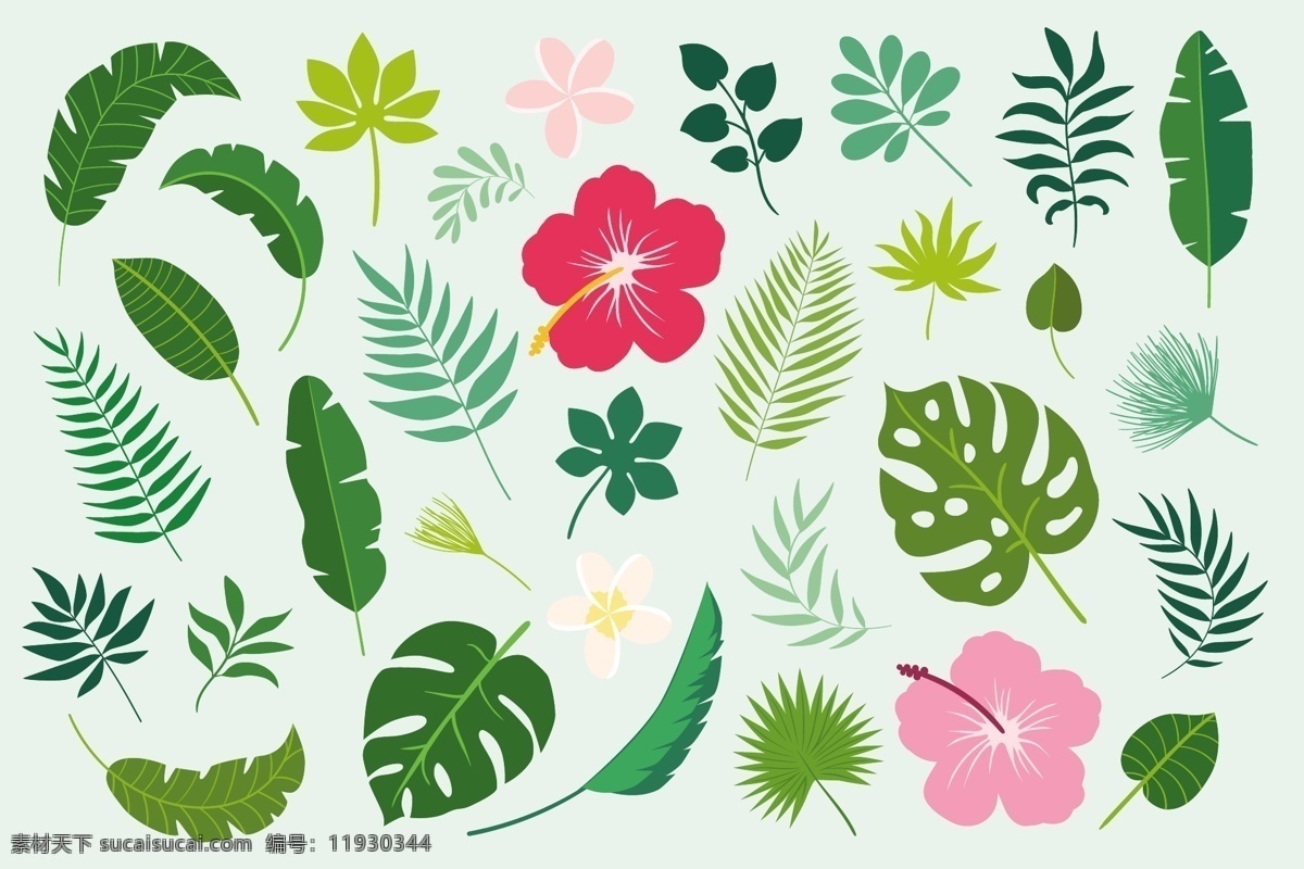 热带叶子 手绘 热带植物 热带 矢量 唯美 元素 热带雨林 芭蕉叶 叶子植物叶子 植物 植物花卉 植物素材 花卉植物 素材植物 热带雨林素材 印花 服装设计