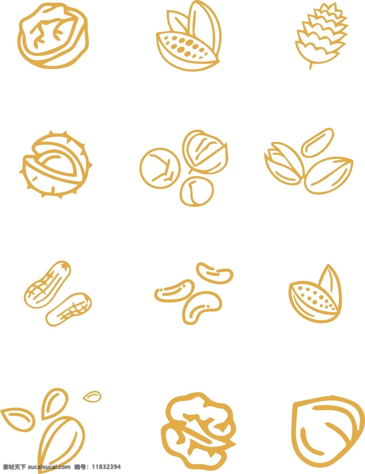 黄色 手绘 坚果 元素 食物 食材 美食 矢量元素 矢量坚果 黄色元素 手绘元素 ai元素