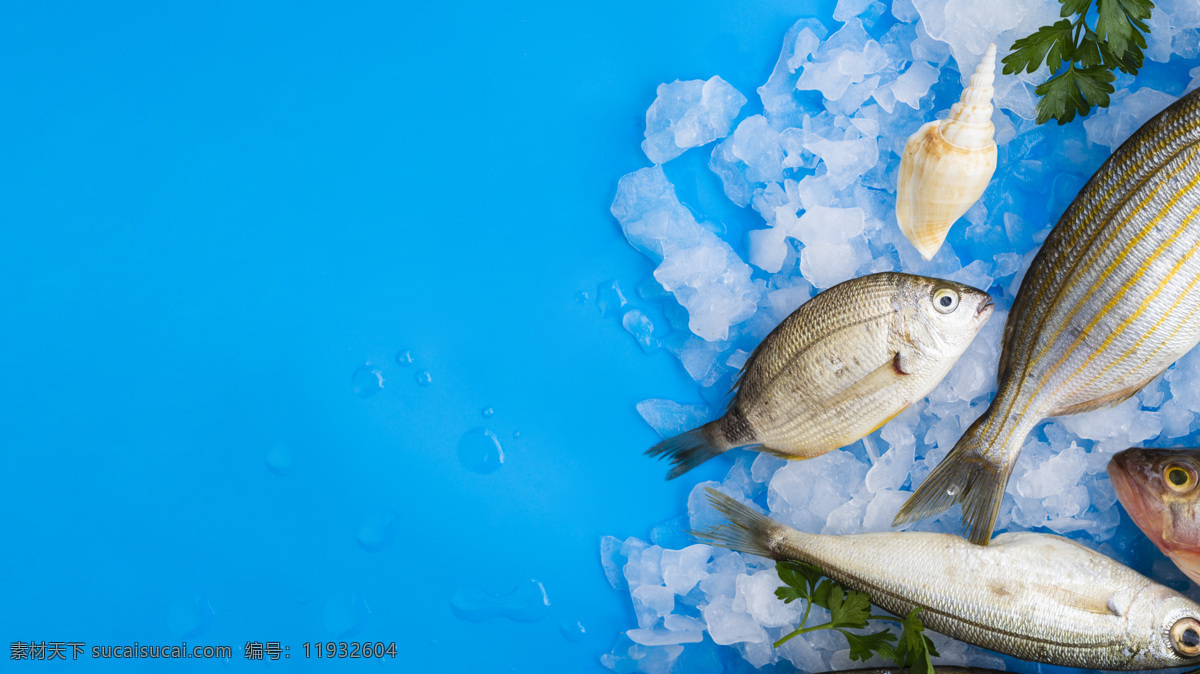冰冻鲜鱼 海鲜 新鲜 大鱼 龙虾 鲍鱼 珍品 生活百科 生活素材