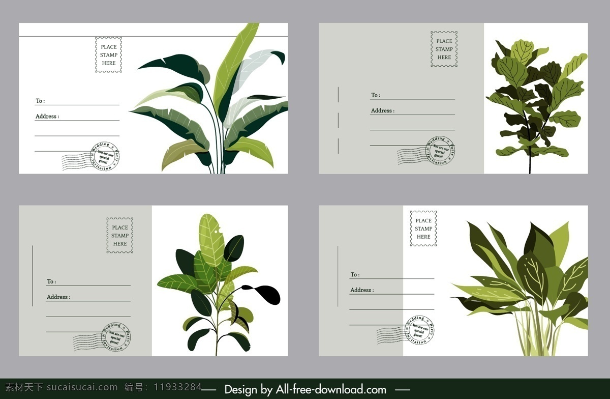 绿色植物 明信片 绿色 植物 卡片 盆栽 矢量 高清图片