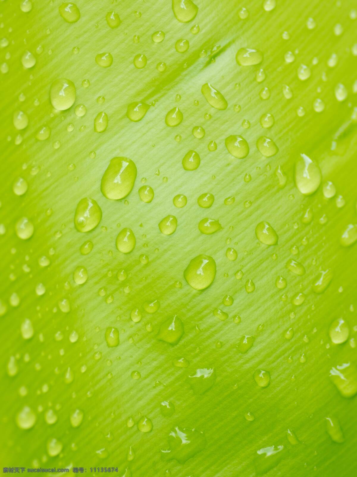 水 滴 湿 背景 自然 壁纸 环境 雨滴 插图 城市 建筑 窗 玻璃 朦胧 自然景观 山水风景