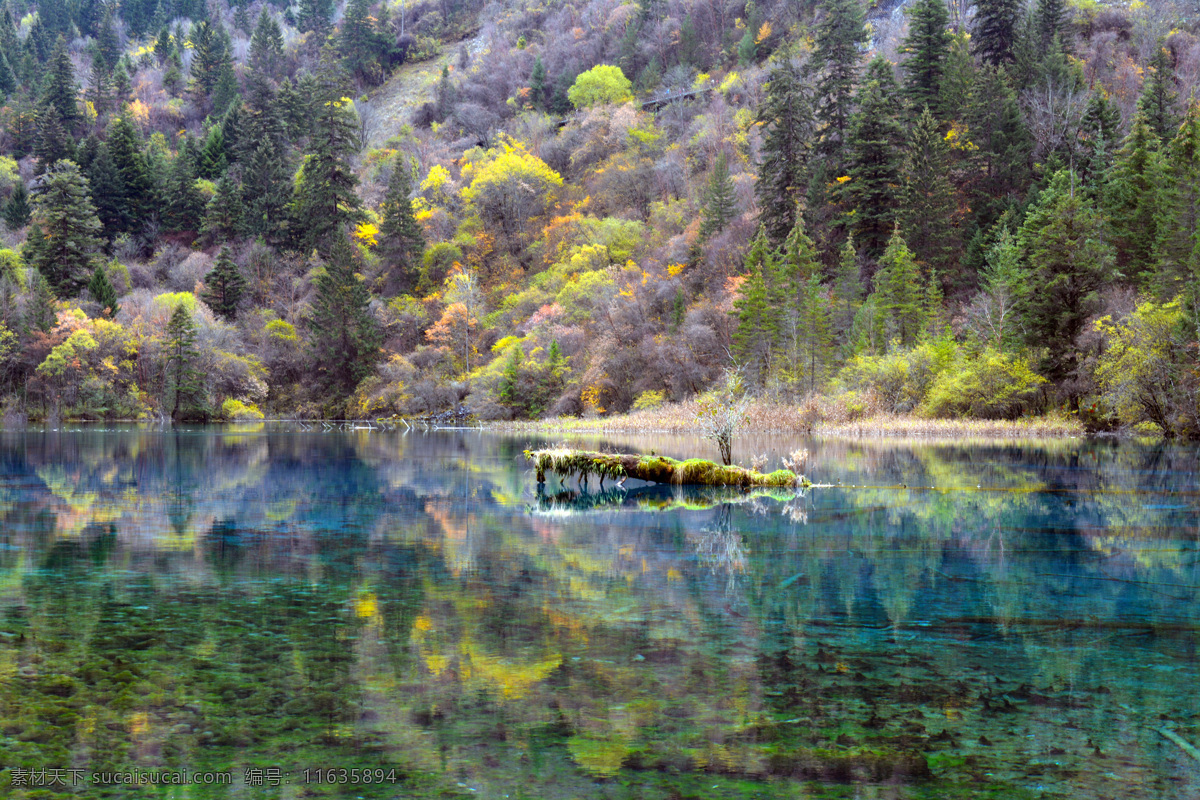 九寨沟海子 九寨沟 海子 水 树木 秋季 绿色 黄色 清澈 湛蓝 自然景观 自然风景