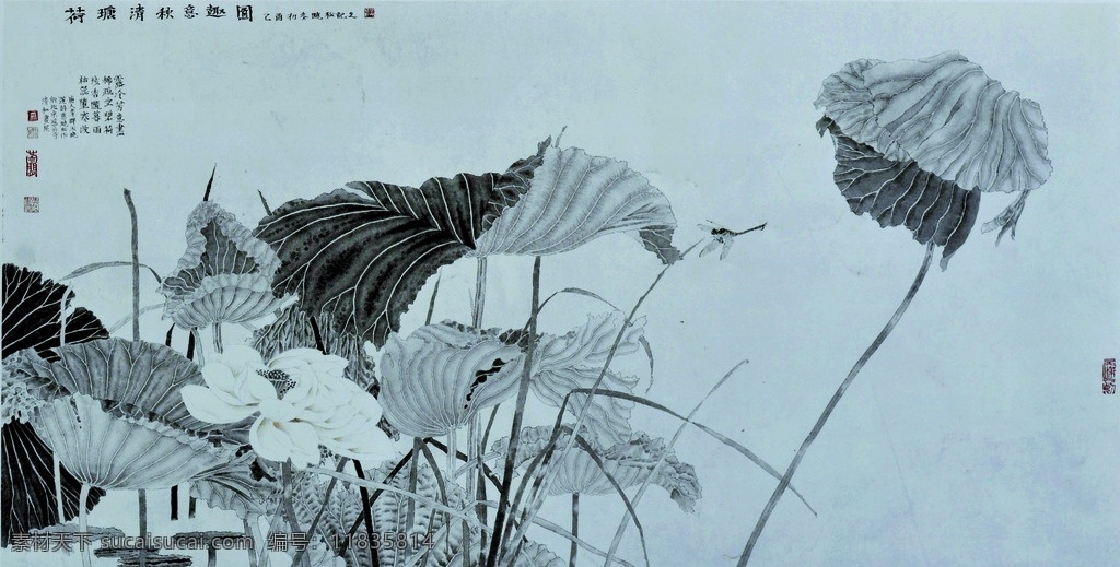 荷塘清秋 美术 中国画 花鸟画 花木 荷花 蜻蜓 国画集124 文化艺术 绘画书法