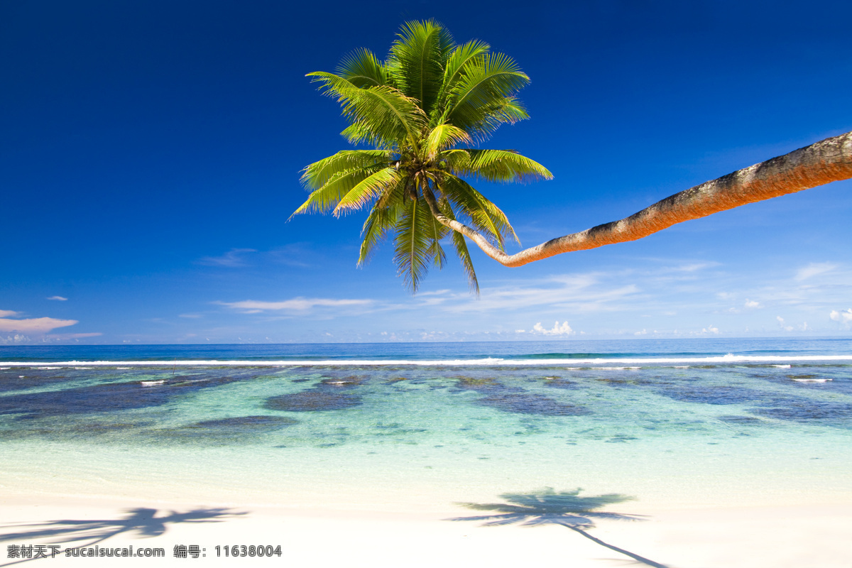 夏日 沙滩 美景 大海 椰子树 海浪 浪花 蓝天 白云 大海图片 风景图片