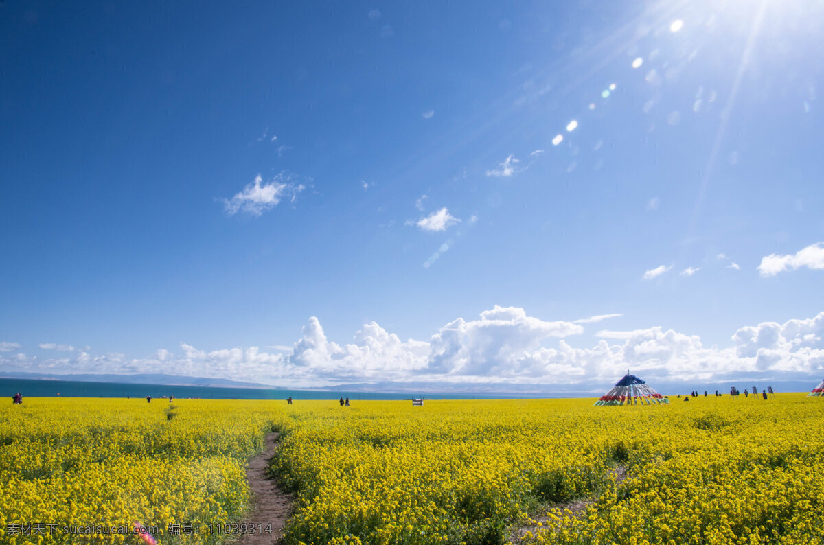 青海湖 油菜花 摄像 美景 原创 旅游摄影 国内旅游 蓝色