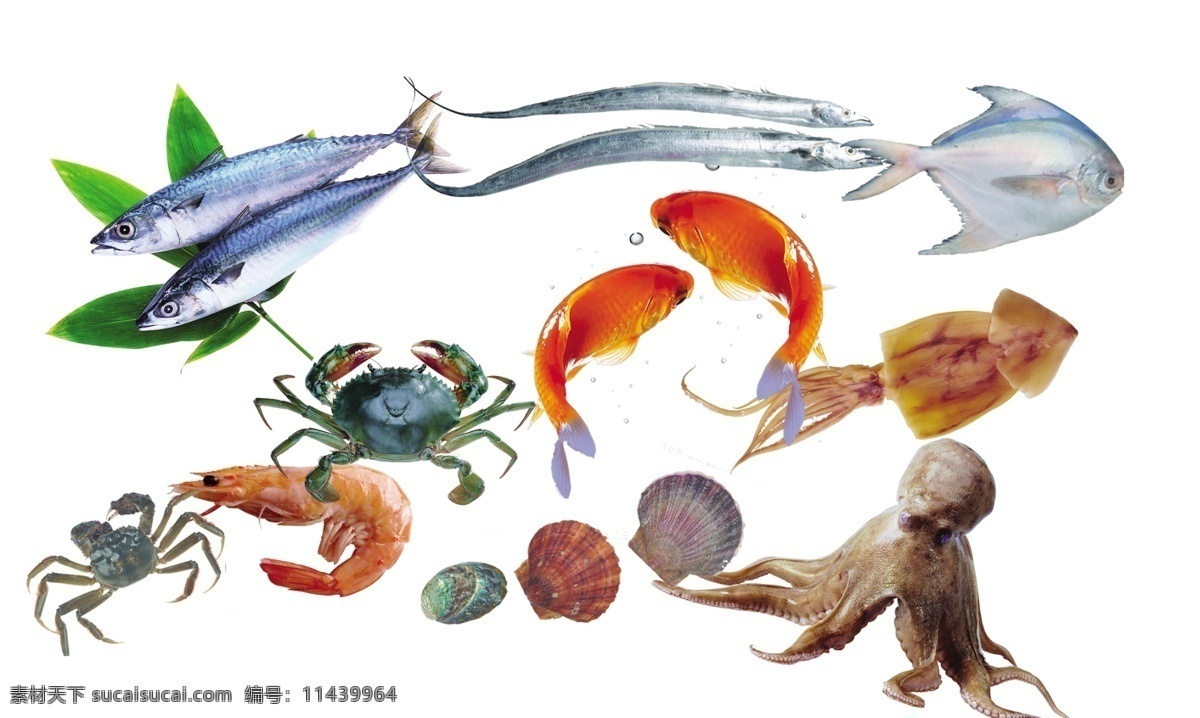 鱼虾 海洋生物 海底生物 鲍鱼 龙虾 海鲜 深海鱼 石斑鱼 大龙虾 章鱼 海参 黄蟮 水产品 鱼类 蟹 水母 海鲜集 鱼 刀鱼 海鲜素材 海洋鱼类 鲅鱼 虾 金鱼 八带 青螃蟹 对虾 螃蟹 蛤蜊 扇贝 八爪鱼 乌贼等 分层 源文件