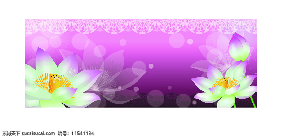 紫色 梦幻 荷花 高清装饰画 装饰素材 紫色梦幻荷花 装饰 图 高清 画 家居装饰素材 室内装饰用图